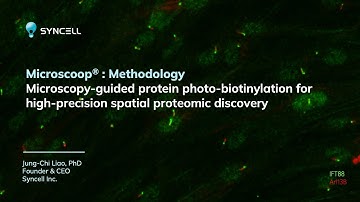How it works | Microscoop Spatial Protein Purification
