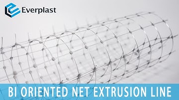 Bi Oriented Net Extrusion Machine Line | EM-NTSD-85 | EVERPLAST | ver.ADS