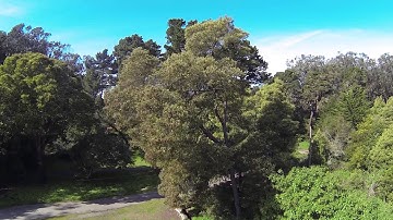 FPVModel YUN-1 Brushless Gimbal and GoPro Testing