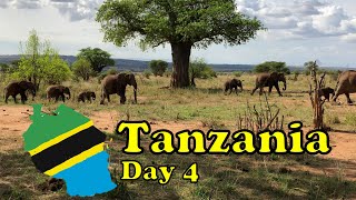 Tanzania Safari: Day 4 - Tarangire National Park