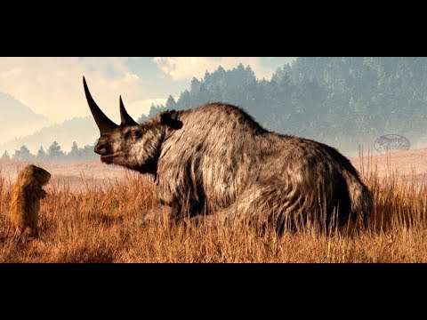 Megafauna: El rinoceronte lanudo