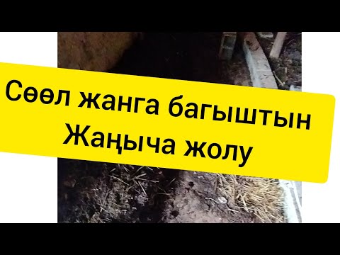 Video: Сиз өтө сезимталдардын суперкүчтөрүнө эмпатсызбы?