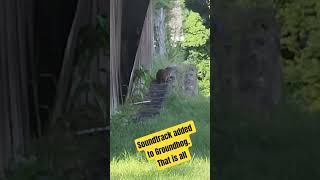 If you don't add soundtracks to random groundhogs, then you just aren't living. #viralvideo