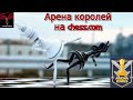 Арена королей на Chess.com 15.01.2021