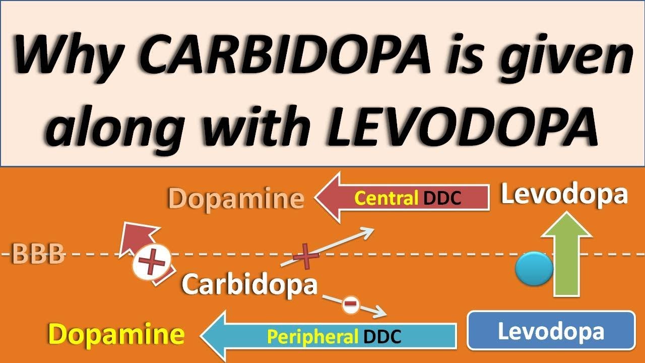 Why Carbidopa Is Given Along With Levodopa YouTube Why Carbidopa Is Given Along With Levodopa YouTube