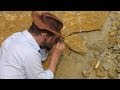 Meet the Paleontologists