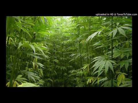 რის საბუთებზე შეჩემისა რა დავაშავ