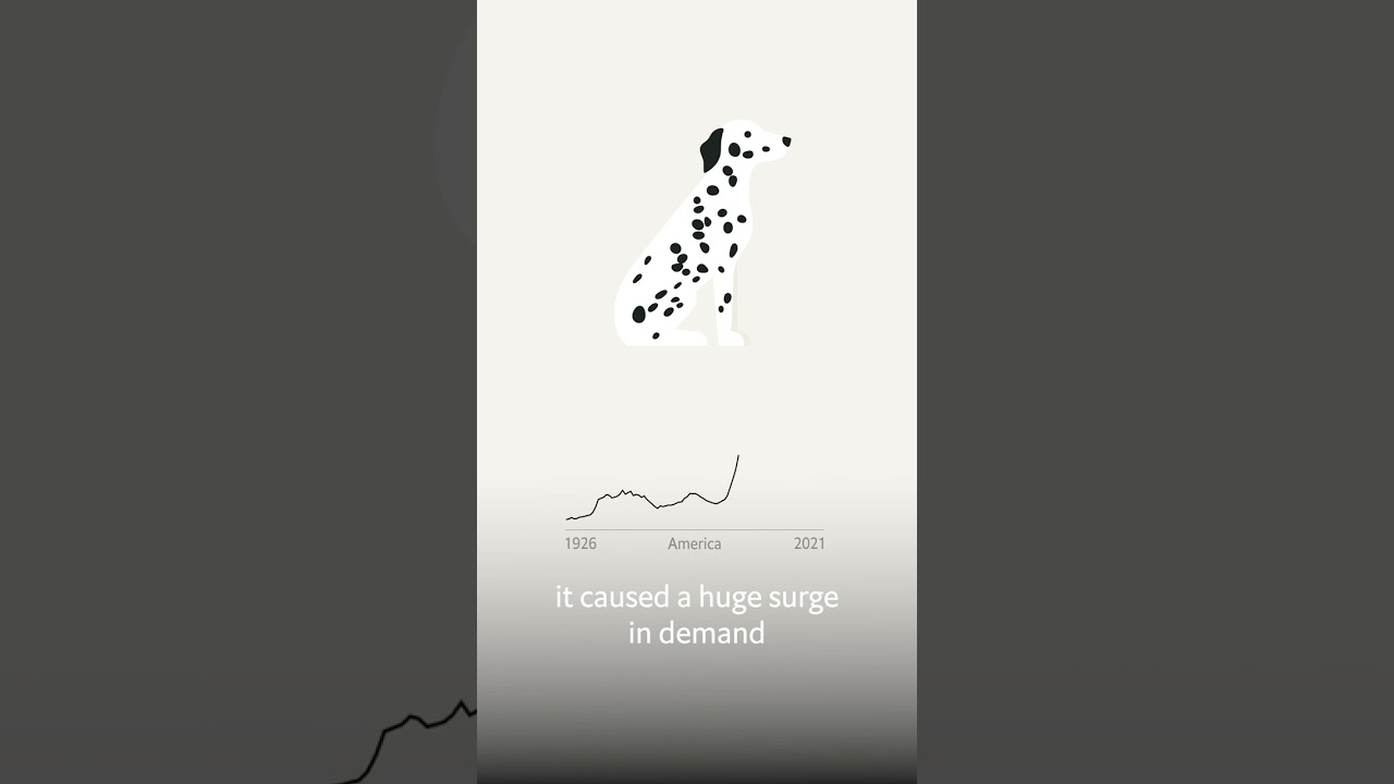 Which is America’s top dog? #dog #data #america