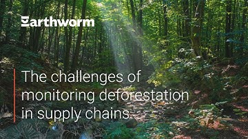 What Are The Challenges of Monitoring Deforestation?