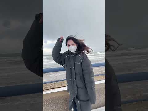 Sury’s Vlog 下雪天的海边 Winter Wonderland