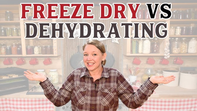 How to Build a Freeze Dryer 