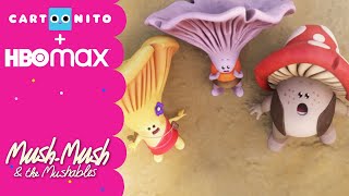 Mush-Mush i Grzybaszki | Ratujmy Drzewko Frajdy (Cały Odcinek) | Cartoonito
