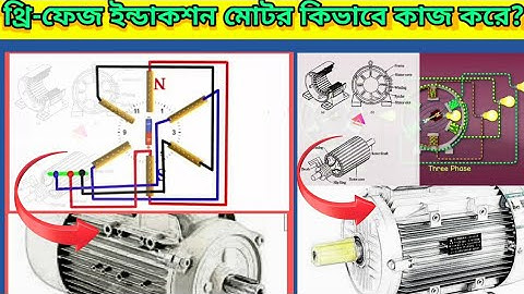 থ্রি ফেজ ইন্ডাকশন মোটর কিভাবে কাজ করে।How does three phase induction motor work.
