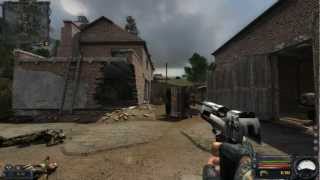 Stalker CS, Shoker Mod 1.99, Desert Eagle