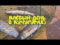 Рыбалка в Кучугурах Погода лучше чем в Сочи сезон 2021