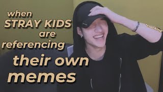 stray kids memes guide (by stray kids)