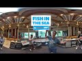 Fish in the Sea | The Longest Johns - 360° at Real World Studios