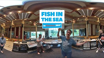 Fish in the Sea | The Longest Johns - 360° at Real World Studios