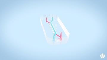 3D Biotech Product Animation - Organ-on-a-Chip Technology -  Inflammatory Bowel Disease Modelling