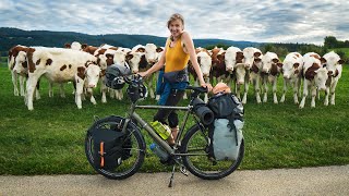 Holy Cow, this is Crazy! | Bicycle Touring France