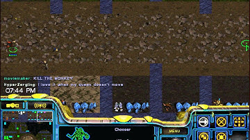 Starcraft Cat n Mouse Jungle Pro v Pro