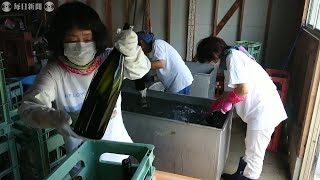 豪雨で浸水した一升瓶入り焼酎3000本　蔵元「大和一」が販売　熊本・人吉
