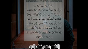 ما تيسر من سورة آل عمران بصوت القارئ عمر بن ضياء الدين 🤍💫