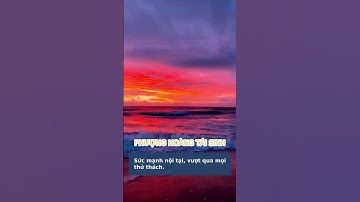 Khám Phá Vẻ Đẹp Tiềm Ẩn: Câu Chuyện Về Người Thợ Mộc Và Khúc Gỗ Phượng Hoàng