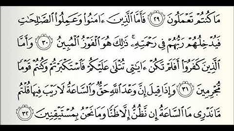 سورة الجاثية من الايه 29 الى اخر السورة