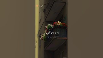 تلاوة خاشعة للشيخ انس المالك 🎧❤️‍🩹 #اكسبلور #أرح_سمعك_وقلبك #طمئن_قلبك #حالات_واتس