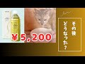 【猫にEMXゴールド】3ヶ月たった現在のケア