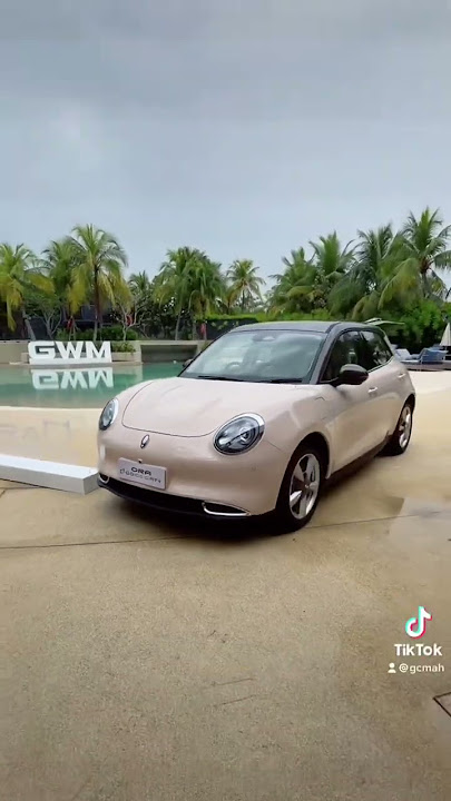 Meow Ora Good Cat! 100% electric with 500km range coming next month! #Ora #goodcat #GWM #EV #gcmah