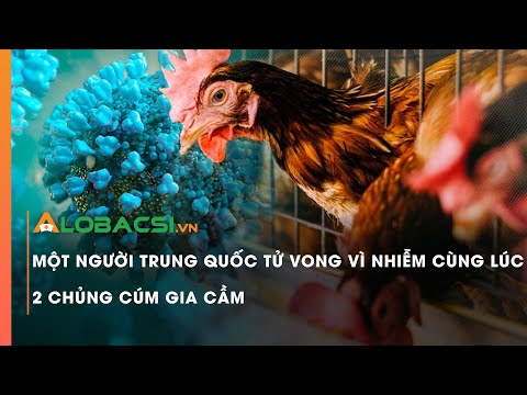 Một phụ nữ tử vong vì nhiễm cùng lúc 2 chủng cúm gia cầm