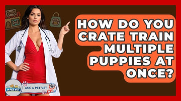 How Do You Crate Train Multiple Puppies At Once? - Ask A Pet Vet