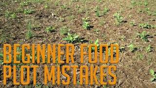 4 Beginner Food Plot Mistakes!