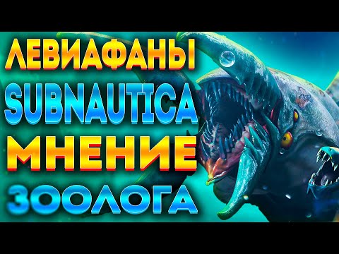 Видео: Кога е написан Левиатан?