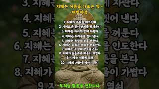 지혜는 어둠을 가르는 빛   대반야경  #부처님 #경전 #법전 #부처님말씀