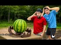 Capcana De Urs VS Diferite Obiecte **Le-am Distrus ?** | EXPERIMENT