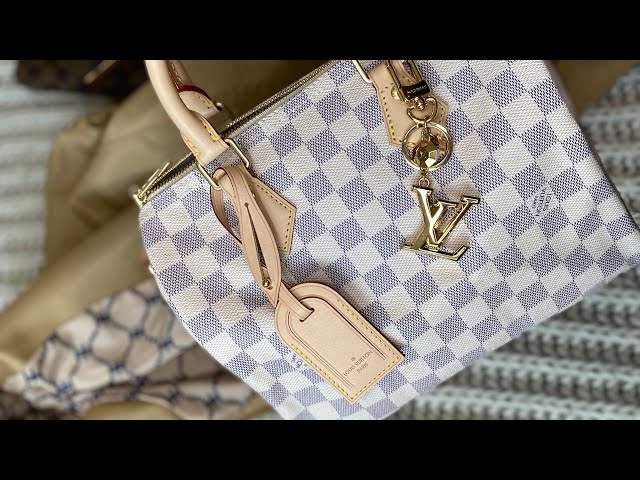 2022 Year Louis Vuitton Speedy 25 Damier Ebene