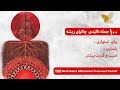 جملات تاکیدی چاکرای ریشه امنیت قدرتمند