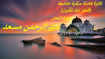 تلاوة هادئة مبكية خاشعة . {أَفَغَيْرَ اللَّهِ تَتَّقُونَ} من سورة النحل . عبد الرحمن مسعد