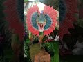 hampir aja dimakan😱