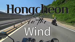 홍천 일욜 오전바리 2023 0605