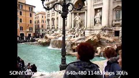 Video Formats in Windows LIve Movie Maker Editing