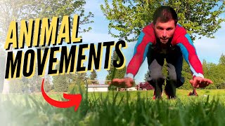 Primal Movements Beginner Tutorial | Animal Walks, Primal Flow and Full Workout