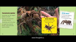 Big Bugs - British English - Cambridge Reading Adventures Green - www.frenglish.ru