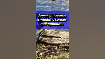Зачем ставить стакан с солью под кровать