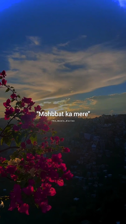 Bas ek dhadak ❤️#lyrics #basekdhadak #the_music_diaries