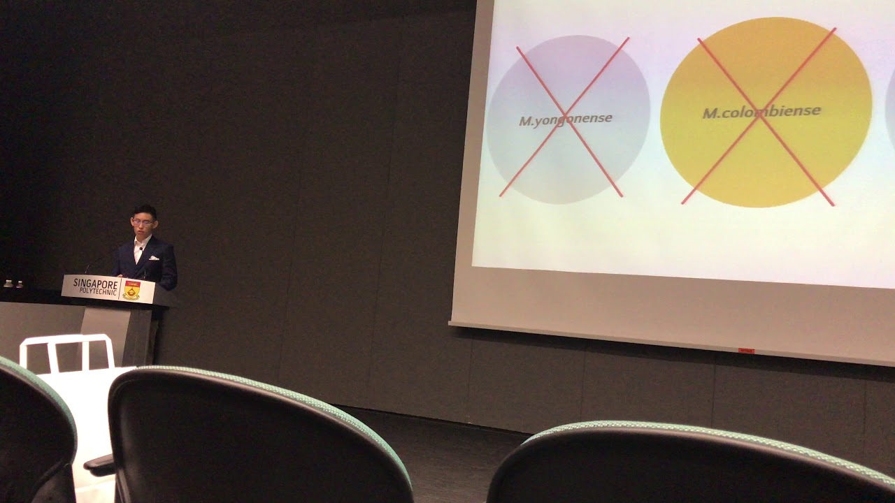 Hain Life Science NTMDR Kit for identifying M.avium complex YouTube