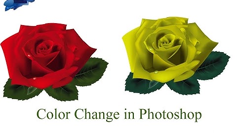 How to Flower Color Change in Photoshop